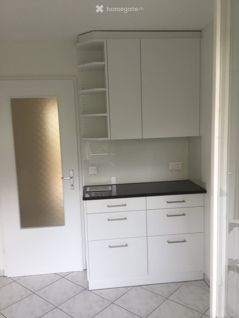 Modern kitchen with white cabinets, black countertop, and built-in shelving unit.