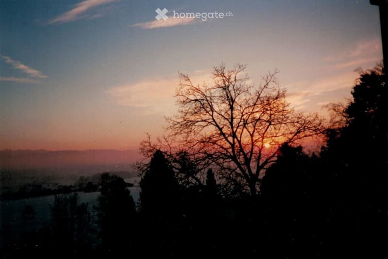 View of a sunset over a landscape with silhouettes of trees and hills in the foreground.