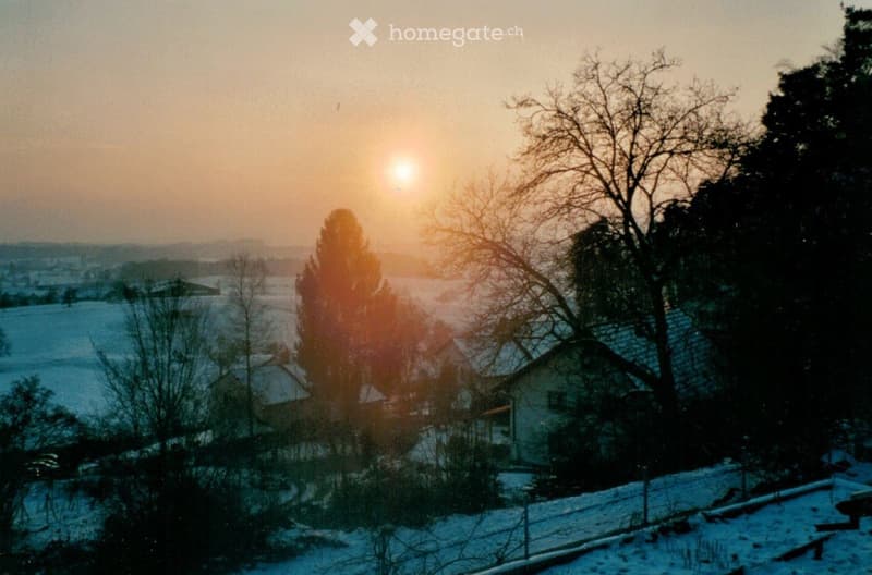 A serene winter landscape with snow-covered fields, bare trees, and a few houses in the distance, bathed in warm sunset light.