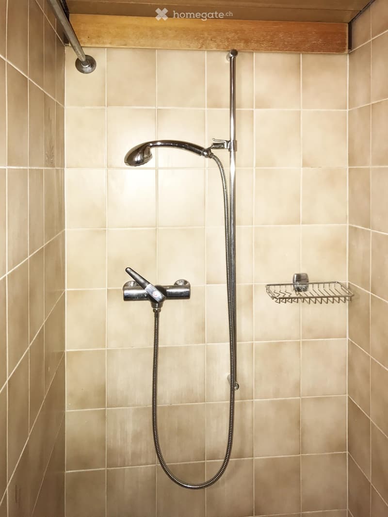 Shower area with beige tiles, a handheld showerhead, a fixed showerhead, a control valve, and a small shower rack.
