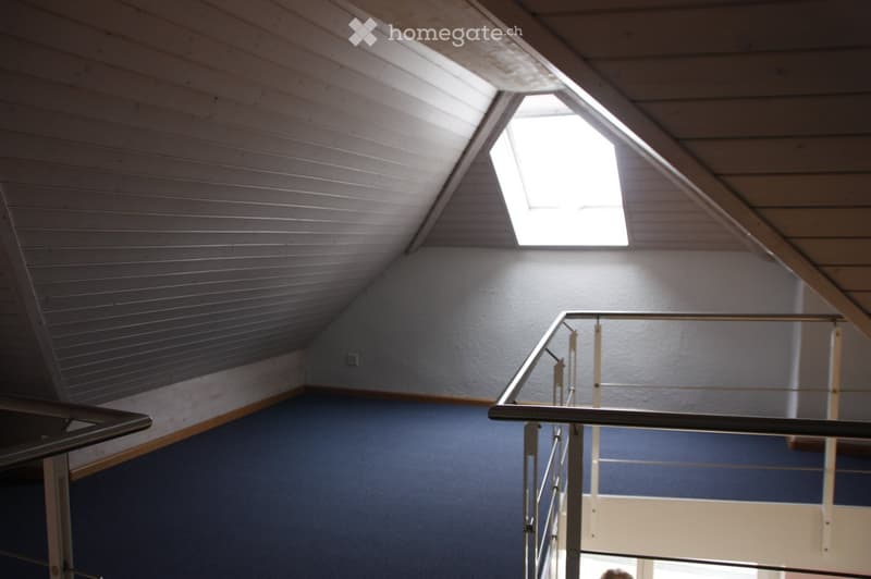 Modern hallway with wooden slatted ceiling, skylight window, glass railing, and blue walls.