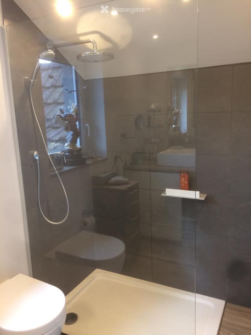 Modern bathroom with a glass-enclosed shower, a bathtub, a toilet, a sink, and a mirror. The shower features a handheld showerhead and a fixed showerhead. The walls are tiled in a neutral color, and the floor is wooden.