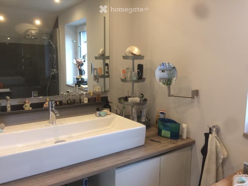 Modern bathroom with a large sink, mirror, storage shelves, and various toiletries neatly arranged. The space features a wooden countertop and a towel hanging on a rack.