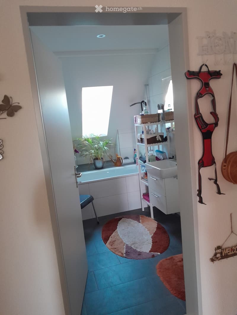 Bathroom with a bathtub, sink, shelf, plant, and a colorful rug on the floor.