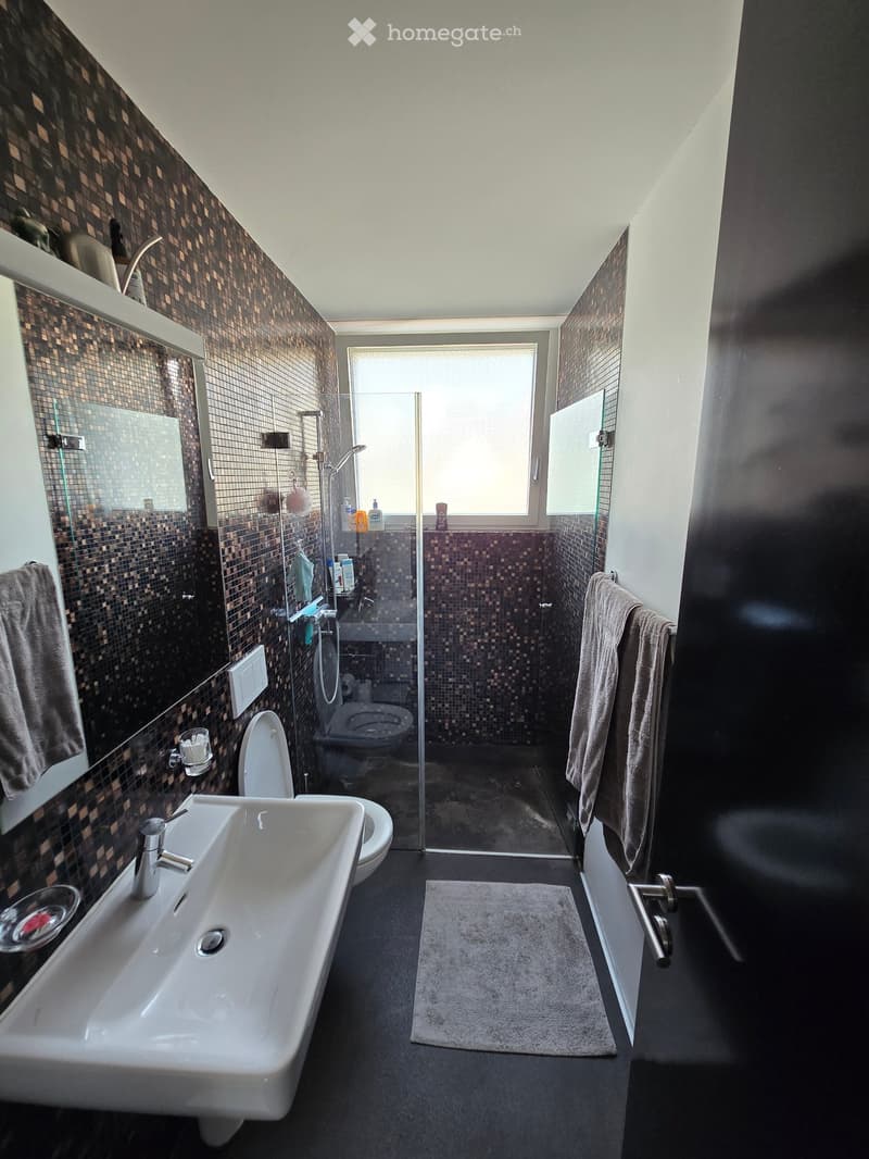 Modern bathroom with a large sink, toilet, shower area, and mirrored cabinet. Features mosaic tile walls and a dark floor.