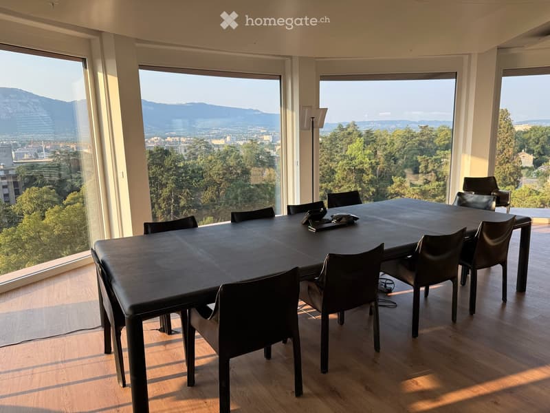 Bureaux avec magnifique vue à Lancy - 10ème étage de la Tour de l'Ellipse (2)