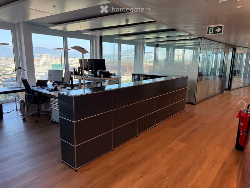 Bureaux avec magnifique vue à Lancy - 10ème étage de la Tour de l'Ellipse (4)