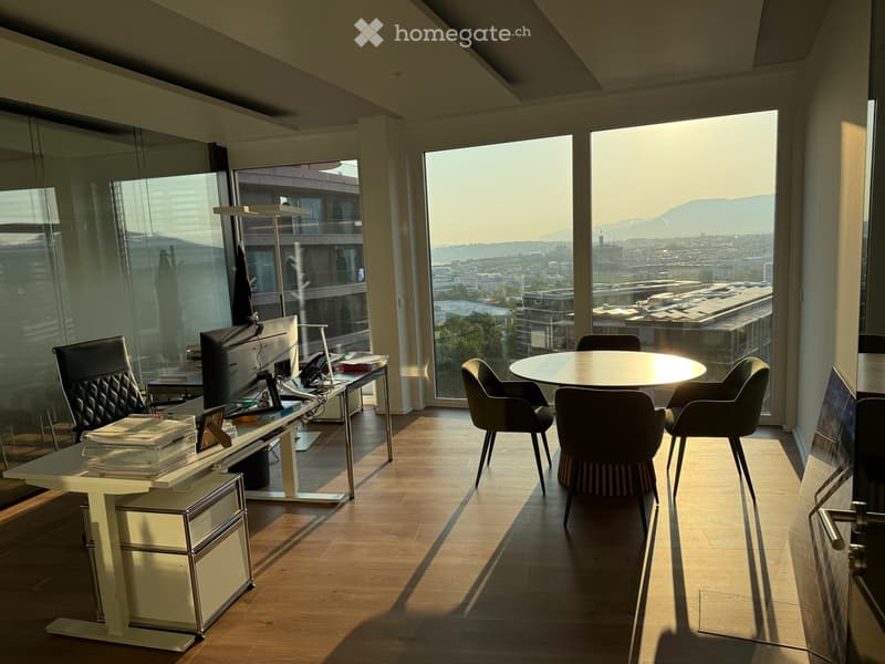 Bureaux avec magnifique vue à Lancy - 10ème étage de la Tour de l'Ellipse (6)