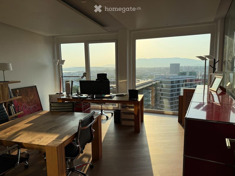Bureaux avec magnifique vue à Lancy - 10ème étage de la Tour de l'Ellipse (5)