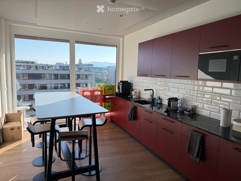 Bureaux avec magnifique vue à Lancy - 10ème étage de la Tour de l'Ellipse (11)