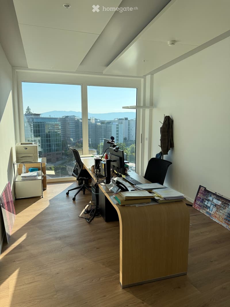 Bureaux avec magnifique vue à Lancy - 10ème étage de la Tour de l'Ellipse (8)