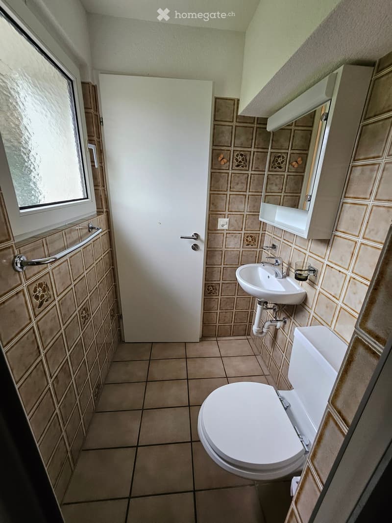 small bathroom with toilet, sink, and mirror