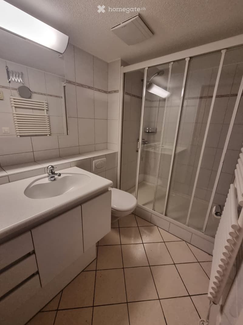 Modern bathroom with a white sink, toilet, glass-enclosed shower, and a radiator. The walls are tiled in light gray with a decorative border.