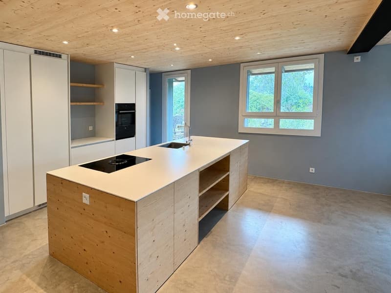 Modern kitchen with a central island, induction cooktop, sink, and built-in cabinets. The space features a sleek design with wooden accents and ample natural light from large windows.
