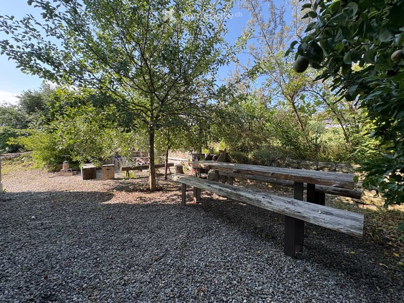Outdoor seating area with wooden benches and tables on a gravel surface, surrounded by trees and greenery.