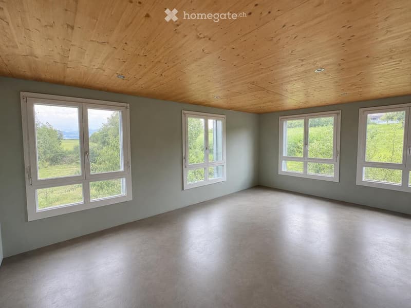 Empty room with grey walls, wooden ceiling, and large windows overlooking a green landscape.