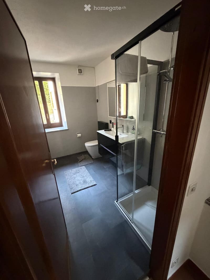 Modern bathroom with a glass-enclosed shower, toilet, sink, and mirror. The space features grey tiles and a window providing natural light.