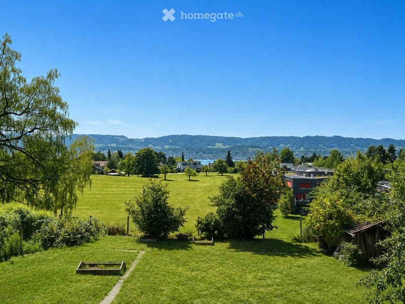 A spacious, well-maintained lawn with scattered trees and shrubs, featuring a clear view of a distant lake and mountains under a bright blue sky.