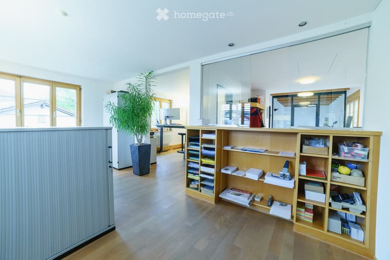 Bright, open-plan office space with wooden flooring, large windows, a wooden shelving unit filled with books and supplies, a potted plant, a screen, and a small table with a chair.