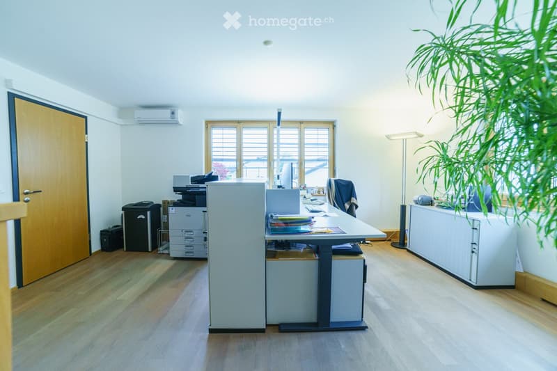 Office space with wooden flooring, large window with blinds, desk with laptop, chair, printer, filing cabinet, floor lamp, and a large plant in the corner.