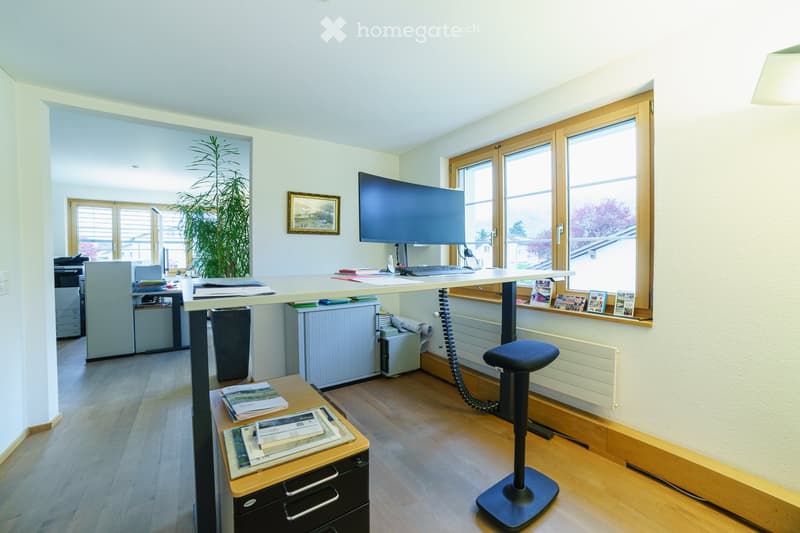 Bright, modern office space with a standing desk, ergonomic chair, large screen, keyboard, printer, filing cabinet, books, picture frame, and a potted plant near the window.