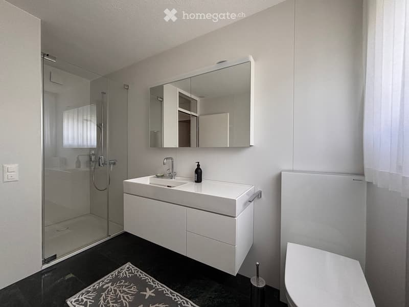 Modern bathroom with white walls, black tiled floor, white sink with faucet, large mirror cabinet, glass-enclosed shower, toilet, and a small decorative rug.