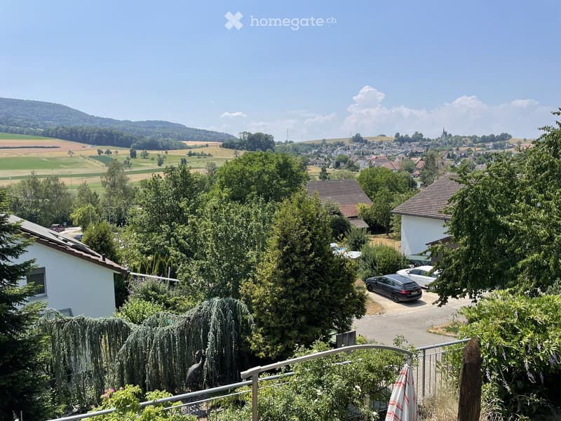Balcony overlooking a rural landscape with houses, trees, and a road with parked cars.