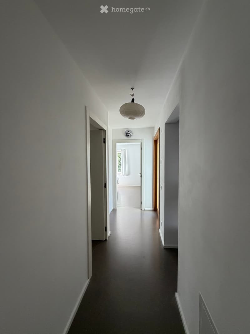 Corridor / Hallway. A long, narrow hallway with grey walls, a dark floor, and a single hanging light fixture. Doors lead to adjacent rooms.