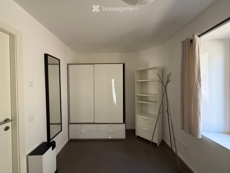 Furnished Room. Minimalist bedroom with white walls, grey carpet, large wardrobe, mirror, shelf, and coat rack.