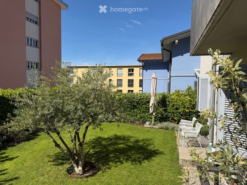 A small, well-maintained garden with a neatly trimmed lawn, a potted olive tree, a white folding chair, and a closed umbrella near a hedge. The garden is enclosed by buildings with colorful facades.