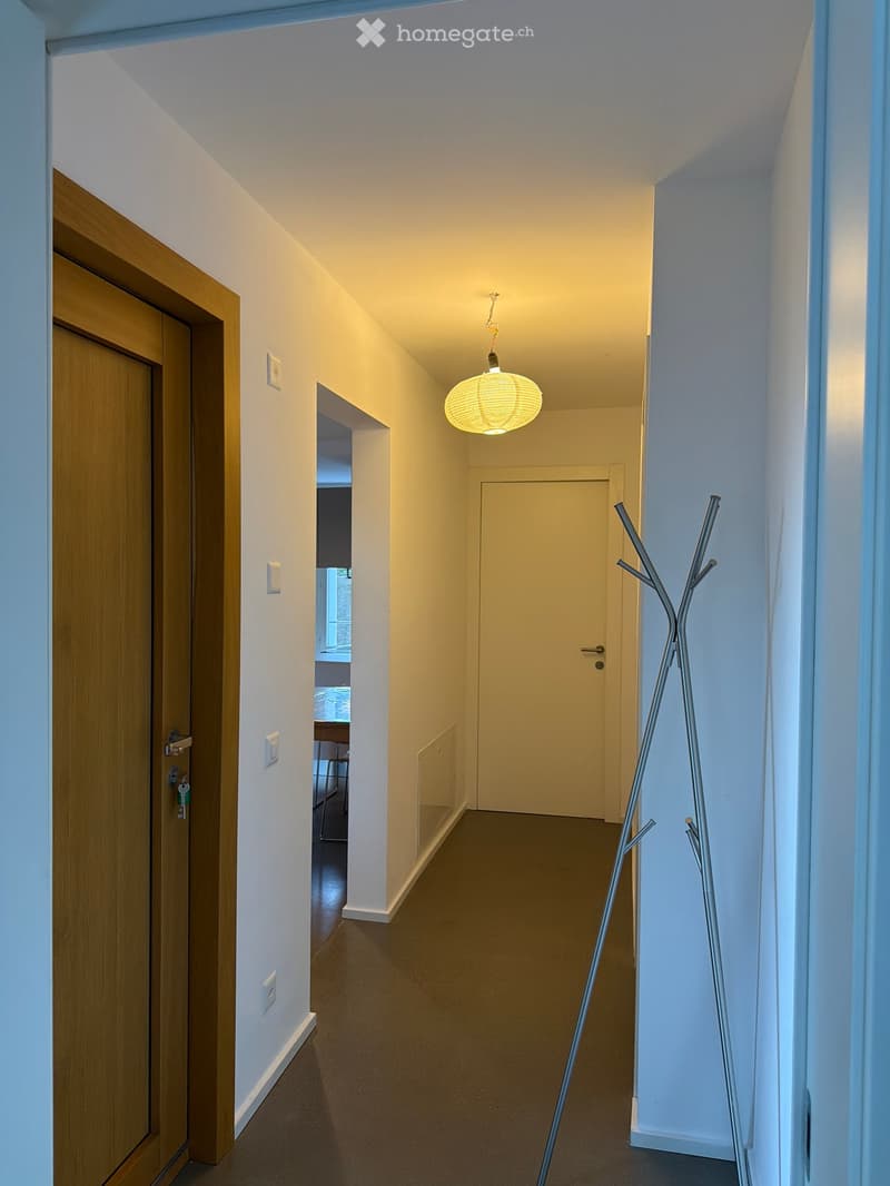 A modern hallway with white walls, dark flooring, and a hanging spherical light fixture. Features include a wooden door, a coat rack, and a glimpse of an adjacent room with a table and chairs.