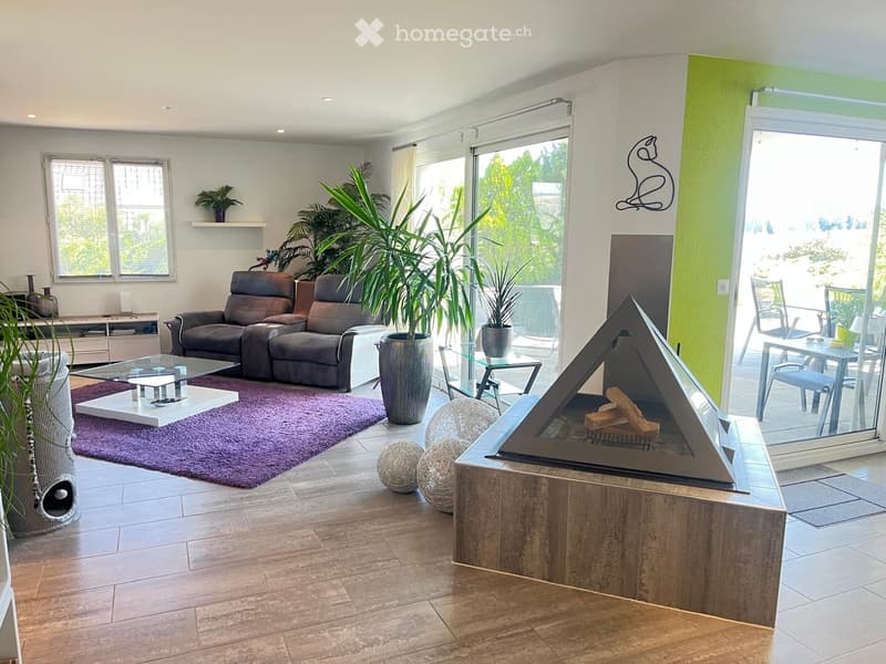 Modern living room with a fireplace, large windows, and a comfortable sofa. Features include a glass coffee table, decorative balls, and potted plants.