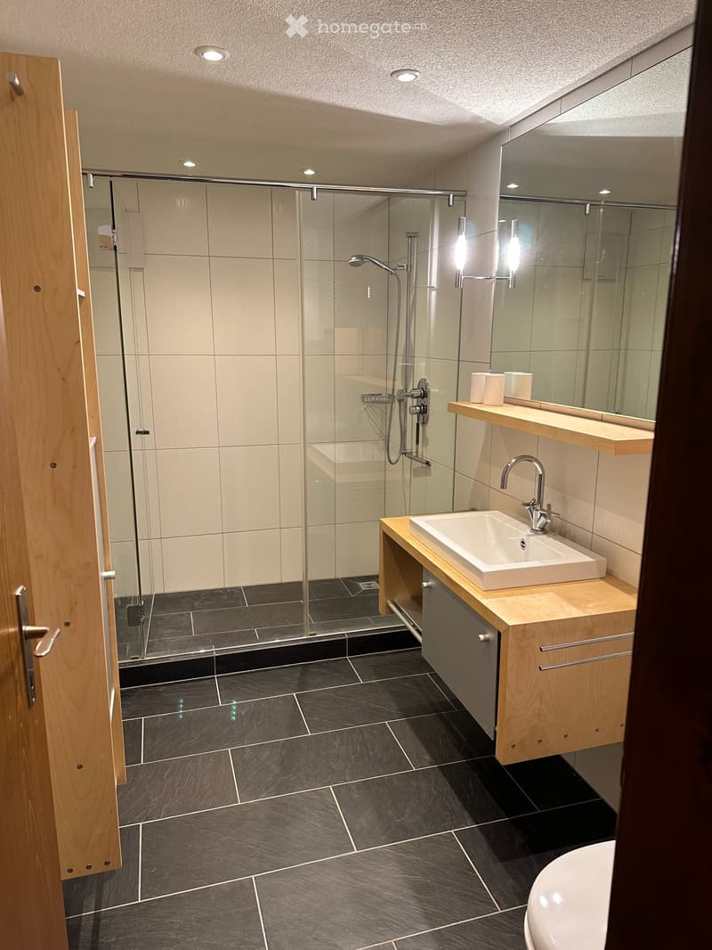 Modern bathroom with dark tiled floor, white sink, wooden cabinet, large mirror, and glass-enclosed shower area.