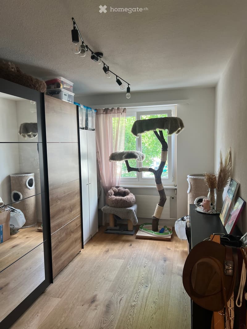 A well-lit room with wooden flooring, featuring a cat tree, a cat bed, a cabinet with a mirror, a small table with picture frames, and a hat on the floor.