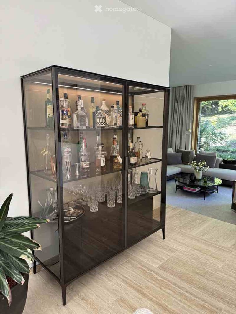 Modern living room with a bar cabinet filled with bottles and glasses, a grey sofa, a coffee table, and a decorative plant in the corner.