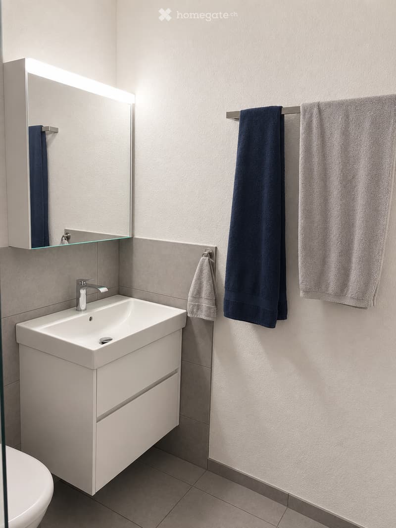 Modern bathroom with a white sink, built-in cabinet, mirror with built-in lighting, and neatly hung towels.