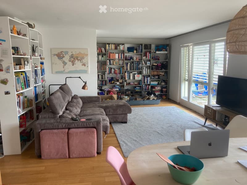 modern living room with gray sofa, gray rug, white shelves, white table, TV, laptop, pink chairs