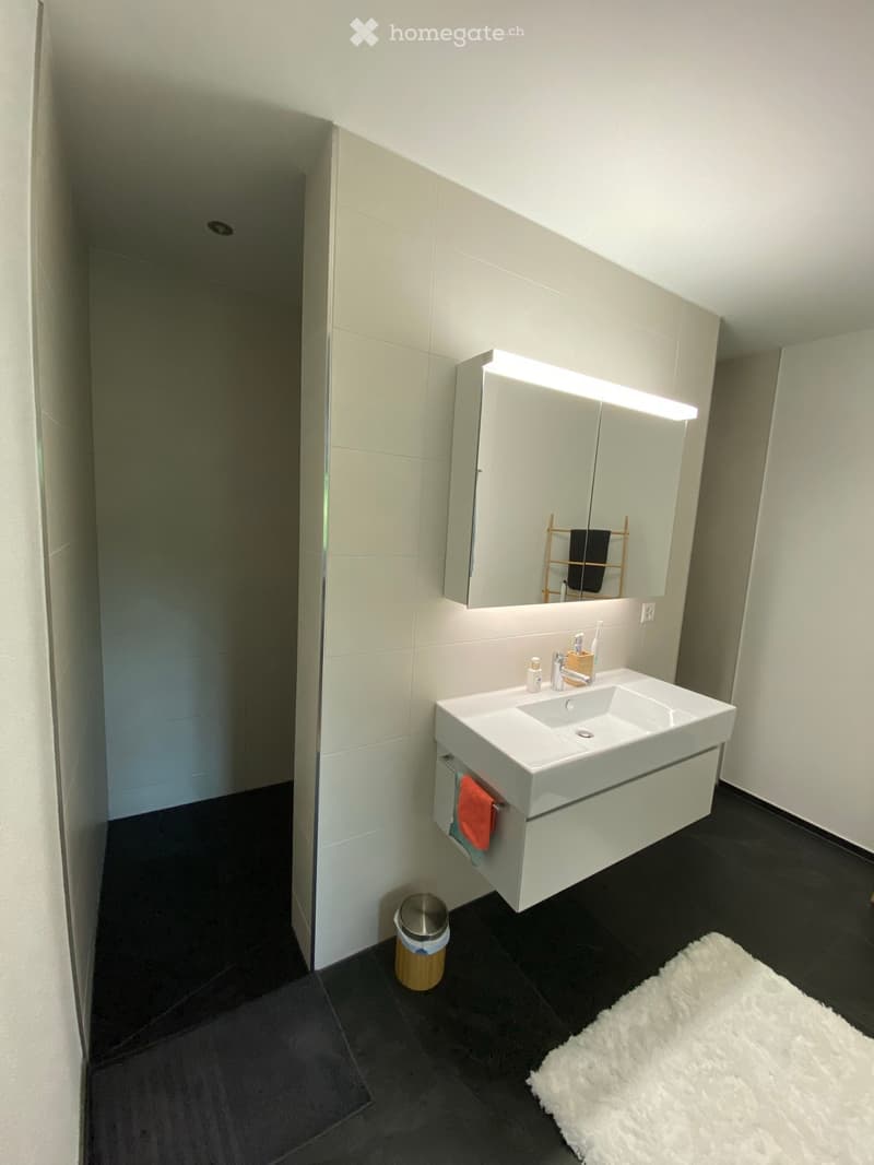 Modern bathroom with white sink, built-in cabinet, mirror with built-in lighting, and a small trash can. The floor is dark, and a white rug is placed near the sink.