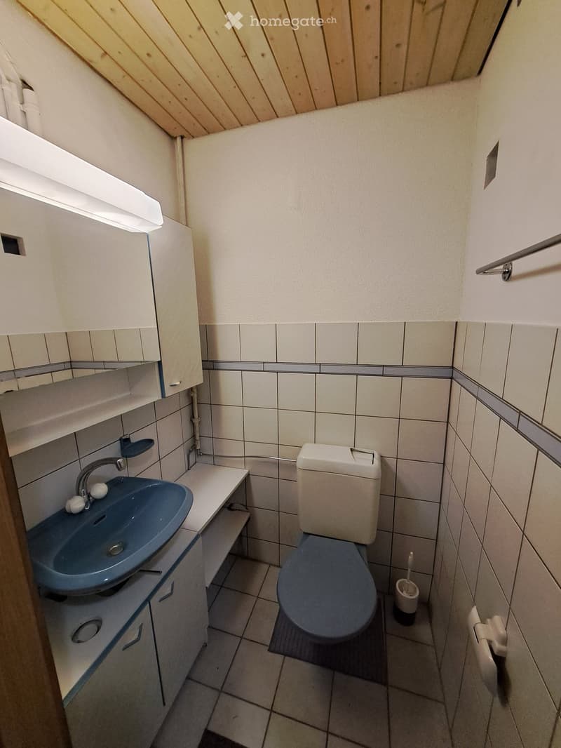 Small bathroom with a blue sink, white toilet, tiled walls, and a wooden slanted ceiling.
