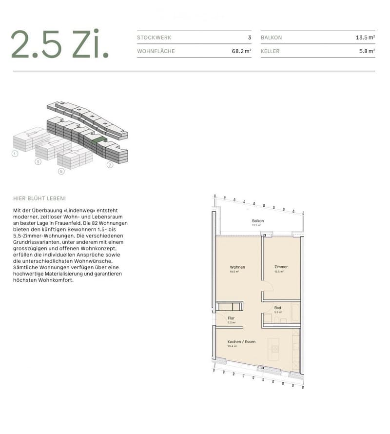 Grundriss 2.5-Zimmer Wohnung, Lindenweg 7