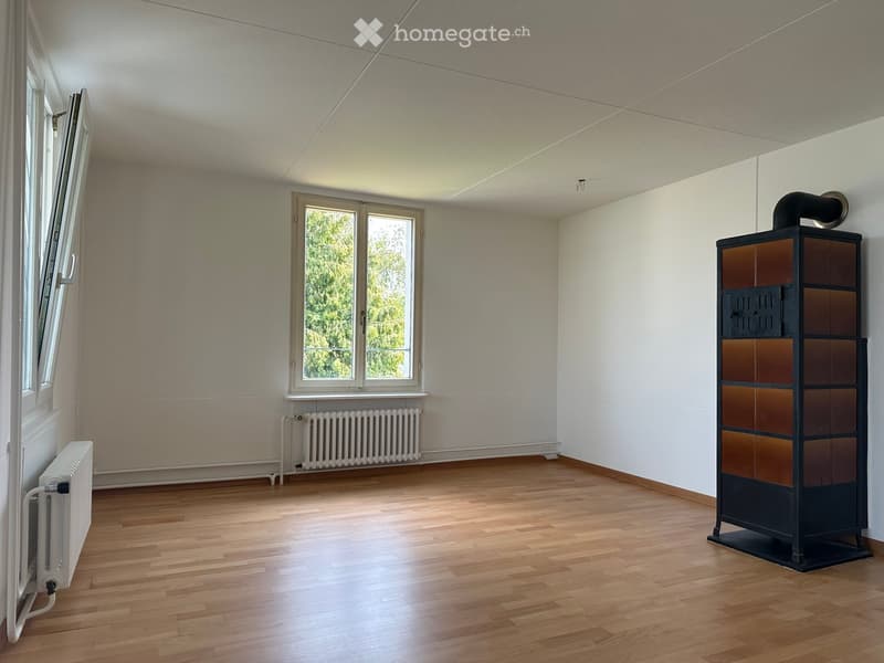 Empty room with wooden flooring, white walls, large windows, radiators, and a black wood-burning stove.