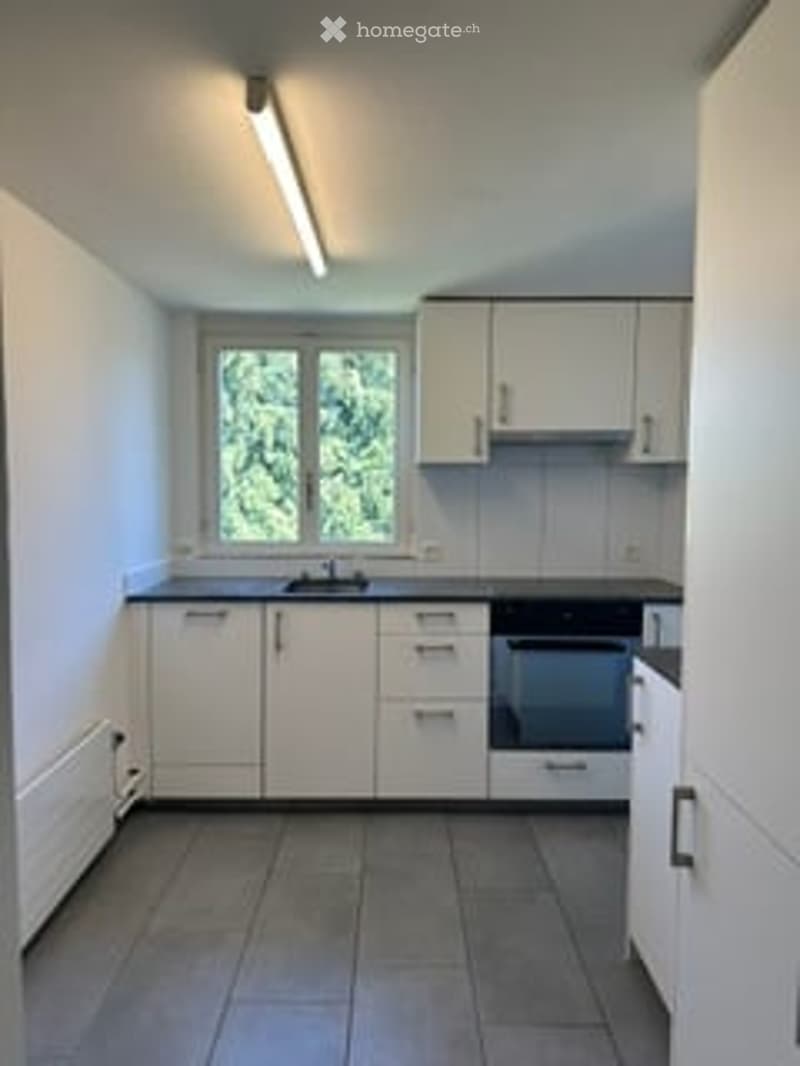 Empty kitchen with white cabinets, dark countertops, and a window overlooking greenery. No furniture or appliances are present.