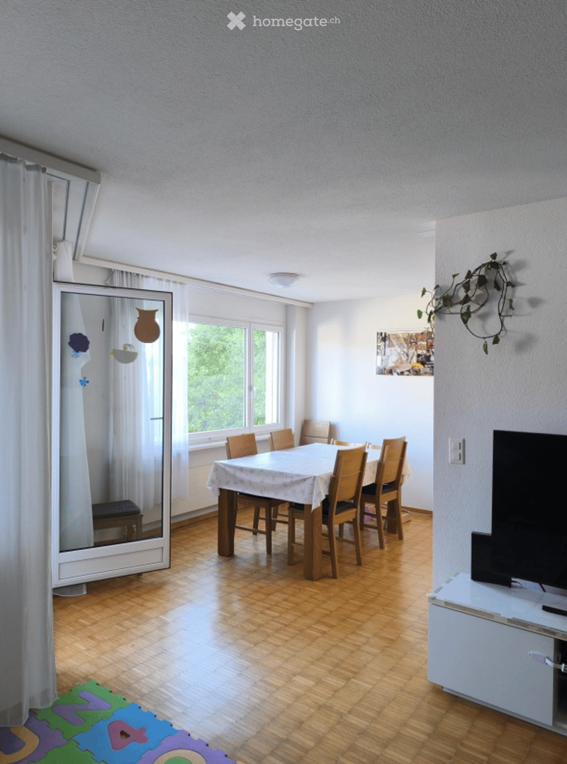 Bright, open living and dining area with wooden flooring, large windows, a dining table with chairs, a TV on a stand, a mirror, and a small plant on the wall.