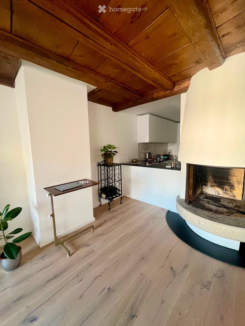 A modern, open-plan living and kitchen area with light wooden flooring, white walls, and a slanted wooden ceiling. Features include a small table with a laptop, a potted plant, a kitchen counter with a sink and faucet, built-in cabinets, and a fireplace w