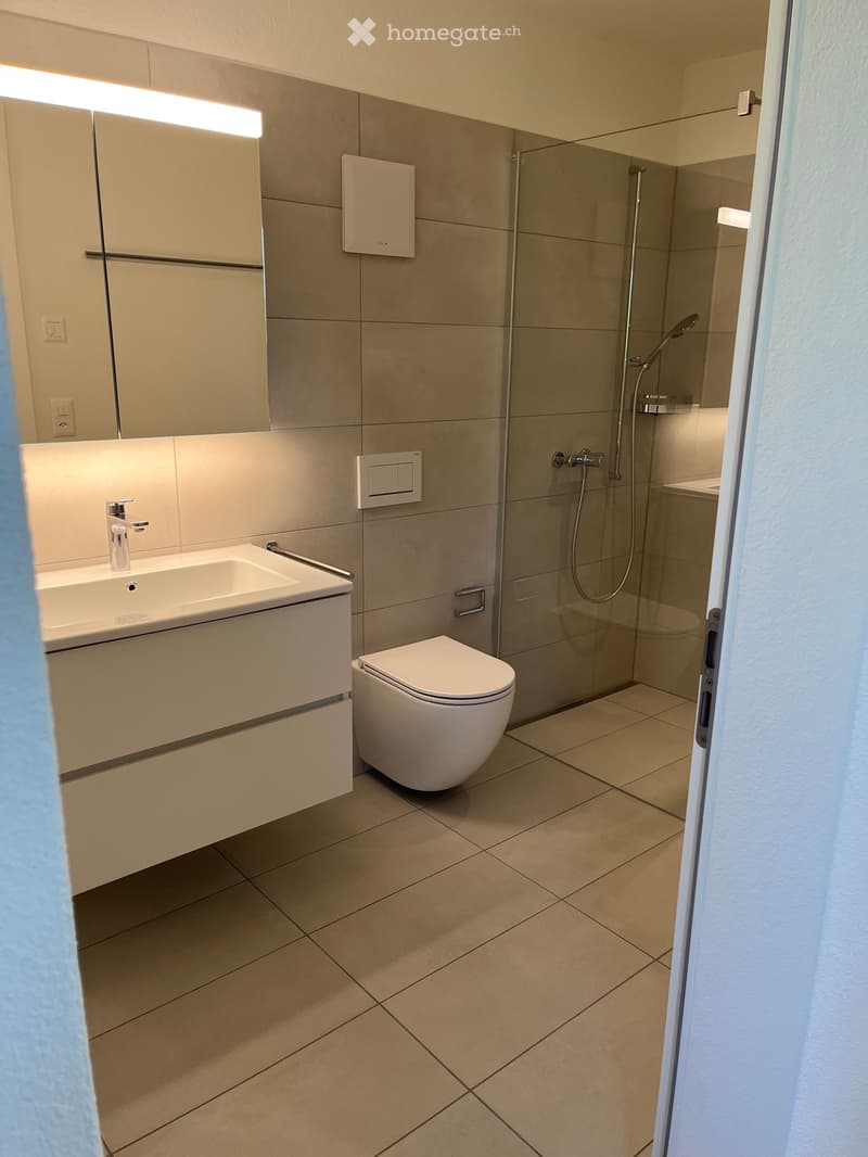 Modern bathroom with a white sink, mirror, toilet, and glass-enclosed shower area.