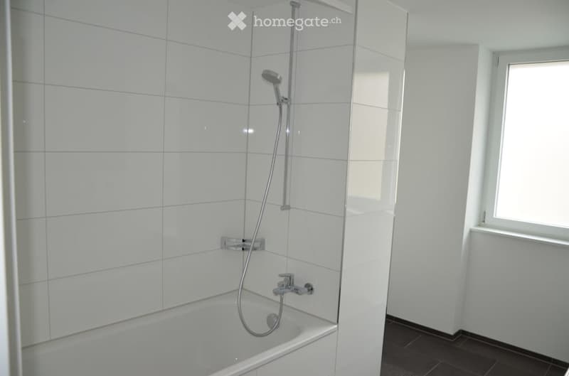 Eine Wohnung für Individualisten, welche das Detail und die Aussicht lieben! (8)