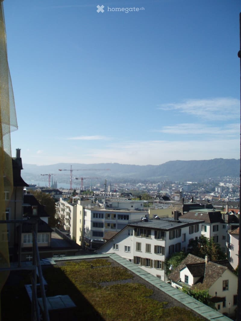Eine Wohnung für Individualisten, welche das Detail und die Aussicht lieben! (4)