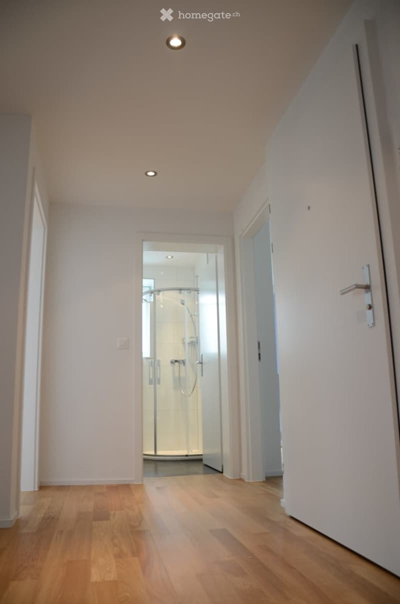 Eine Wohnung für Individualisten, welche das Detail und die Aussicht lieben! (9)