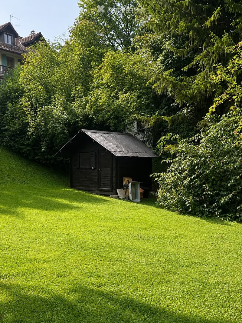 A well-maintained garden with a neatly trimmed lawn, a small dark wooden shed, and surrounding trees and bushes.