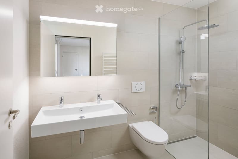 Modern bathroom with a white sink, toilet, large mirror, and glass-enclosed shower with a handheld showerhead.